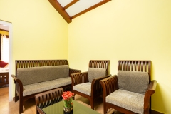 The-Mayflower_Heritage-Villa_Alappuzha_livingroom2