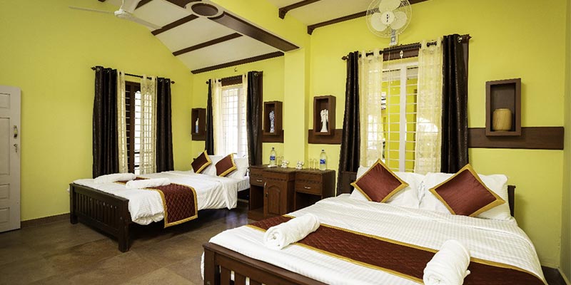 A Guide to Kerala Homestays-imagebelow-banner